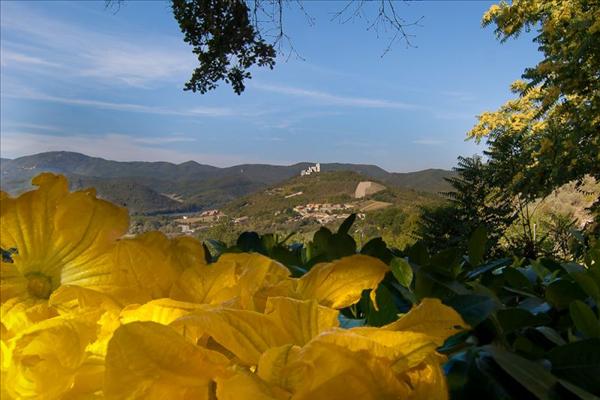 Agriturismo La Ciriola: vacanze in Agriturismo in in collina a Terni,  Terni, UMBRIA